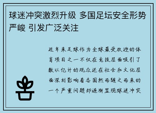 球迷冲突激烈升级 多国足坛安全形势严峻 引发广泛关注