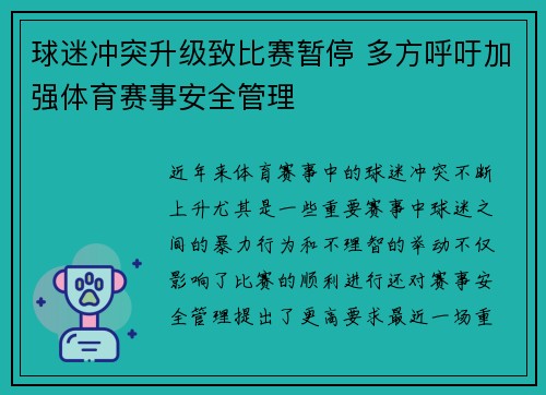 球迷冲突升级致比赛暂停 多方呼吁加强体育赛事安全管理